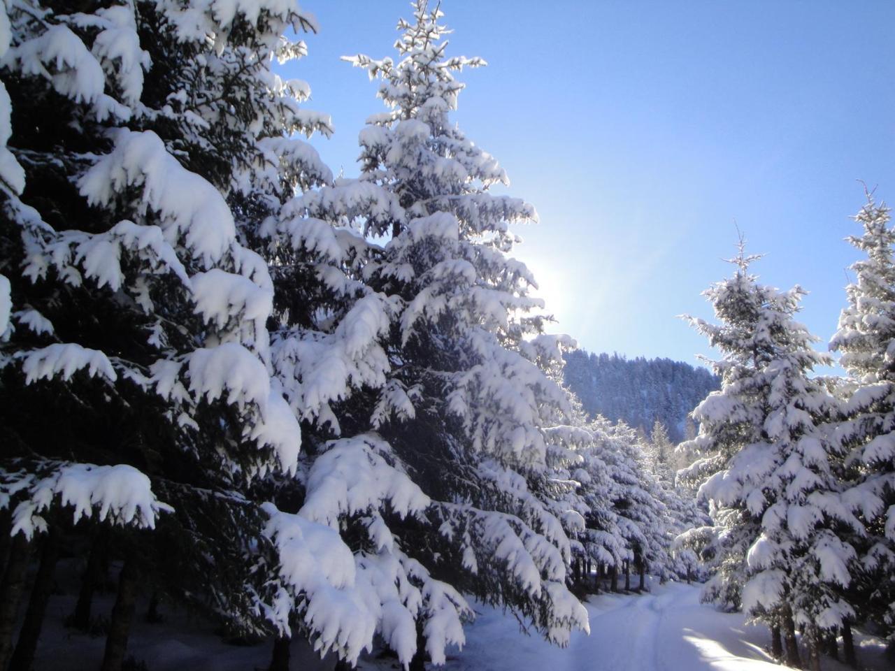 Hotel Eckartauerhof Mayrhofen Kültér fotó